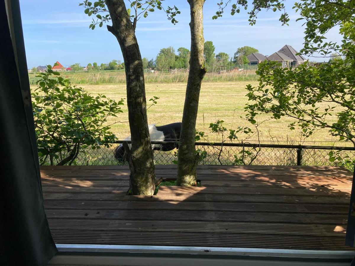 Het Oude Strandhuis Uitgeest Eksteriør bilde